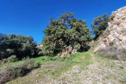 3bc94927093c0780a5aa896457a74651 - 11