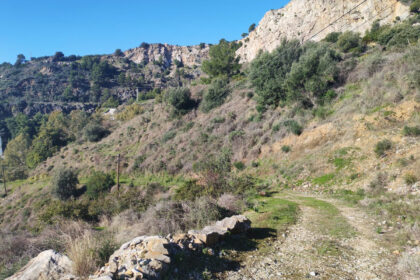 3bc94927093c0780a5aa896457a74651 - 12