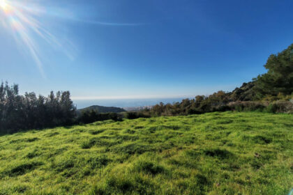 3bc94927093c0780a5aa896457a74651 - 2