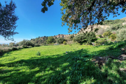 3bc94927093c0780a5aa896457a74651 - 4