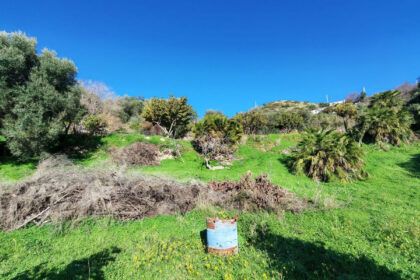 3bc94927093c0780a5aa896457a74651 - 5