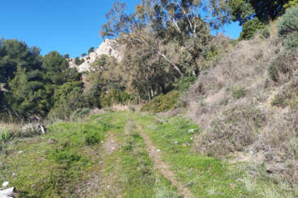 3bc94927093c0780a5aa896457a74651 - 6