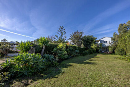 3d10653adf46504a47c16677119bb69c - 19