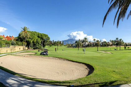 3d10653adf46504a47c16677119bb69c - 21