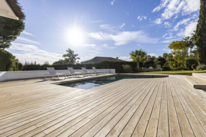 3d77018ca46a53c1983a087930e4f56d - 80