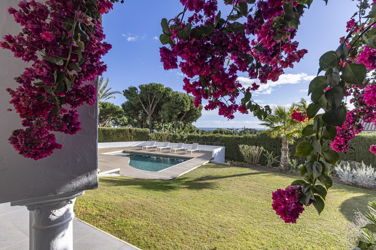 3d77018ca46a53c1983a087930e4f56d - 90