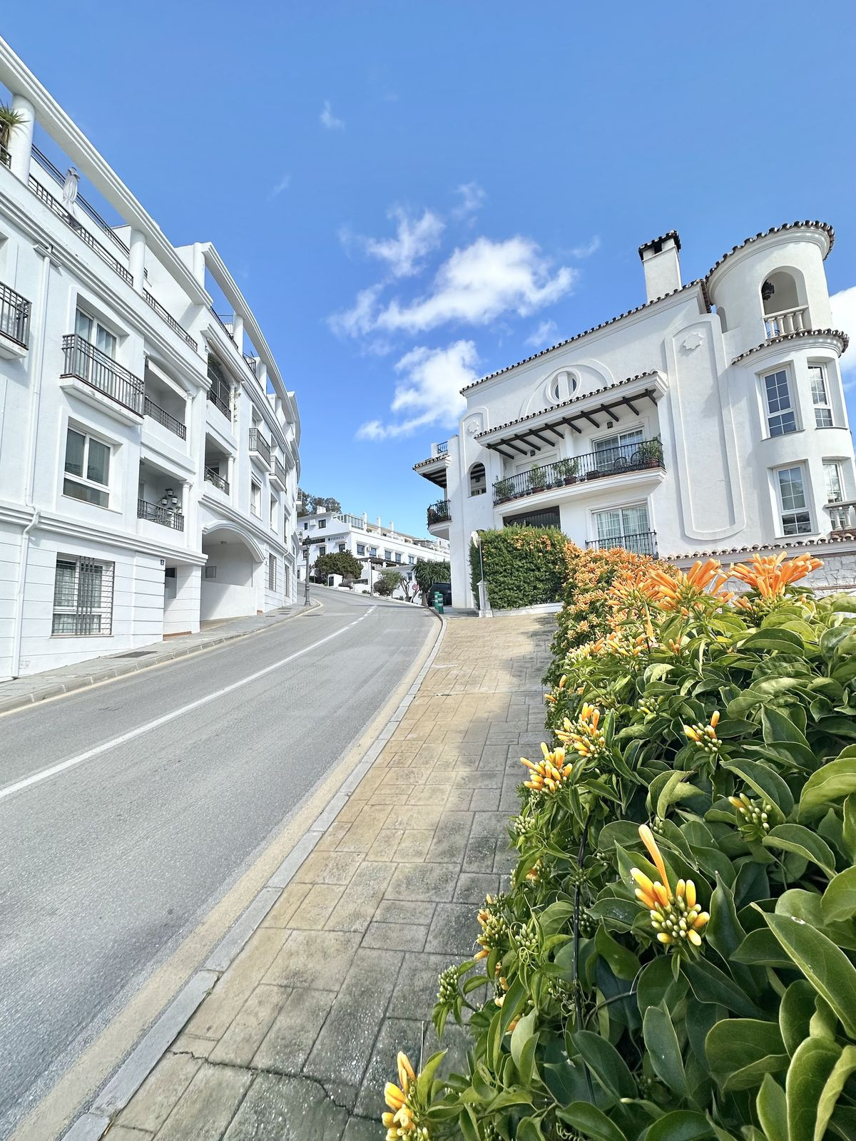 3e88c3ec18fa8fd982d4717f646811bd - 1