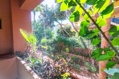 3fc3c1cb73f770160ecbe253865731bd - 24