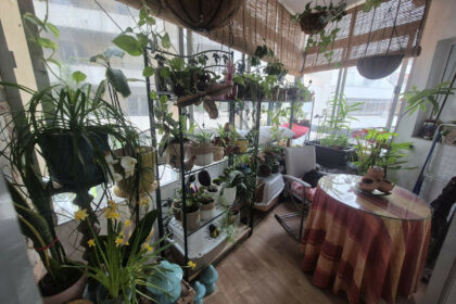 4008232d75d833c3eef2cda214534e83 - 11