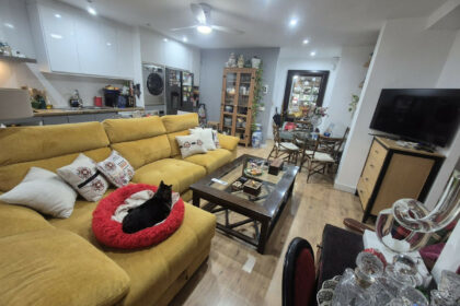 4008232d75d833c3eef2cda214534e83 - 25