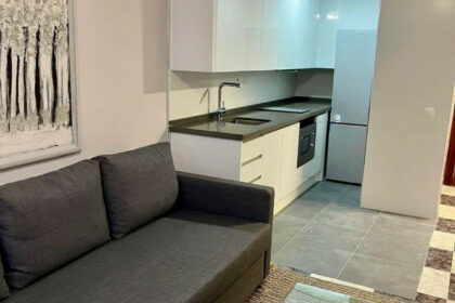 4213005078a2db869983dc35f4f395e7 - 8