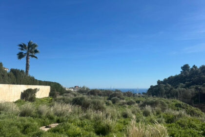 44482319e52fcf1b293cad81b7fb432a - 1