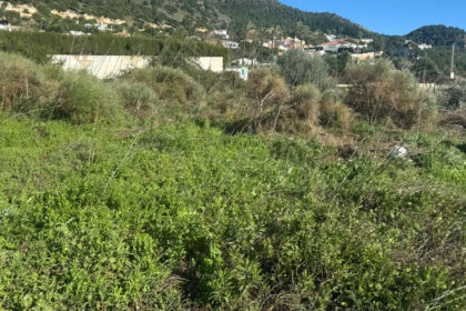 44482319e52fcf1b293cad81b7fb432a - 4