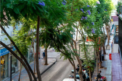 451b0f3bb0d4092018fc275b69c69ca0 - 12