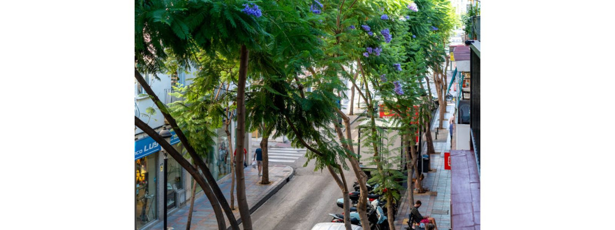 451b0f3bb0d4092018fc275b69c69ca0 - 12