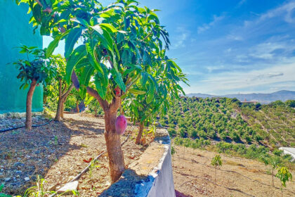 4756ffe3f6d3b42e081850a9a87da27d - 36