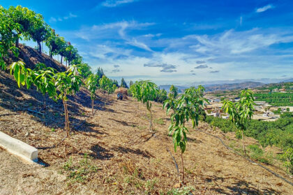 4756ffe3f6d3b42e081850a9a87da27d - 37