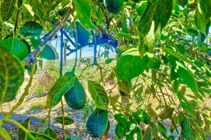 4756ffe3f6d3b42e081850a9a87da27d - 38