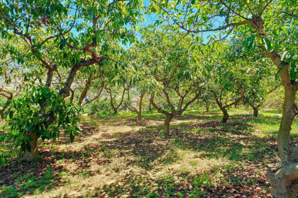 4756ffe3f6d3b42e081850a9a87da27d - 39