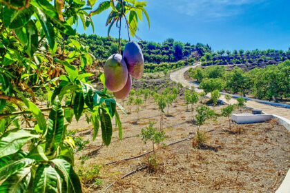 4756ffe3f6d3b42e081850a9a87da27d - 4