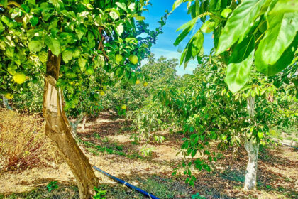 4756ffe3f6d3b42e081850a9a87da27d - 40