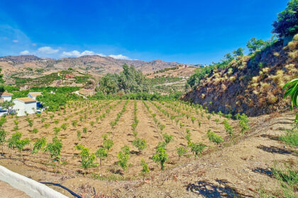 4756ffe3f6d3b42e081850a9a87da27d - 43