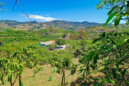 4756ffe3f6d3b42e081850a9a87da27d - 45