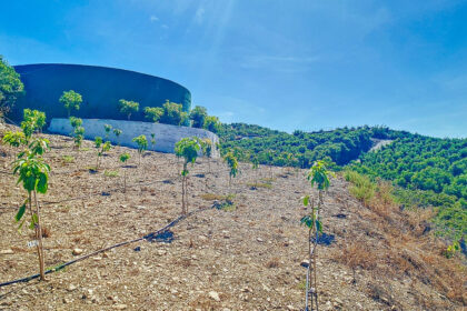 4756ffe3f6d3b42e081850a9a87da27d - 46