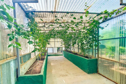 4756ffe3f6d3b42e081850a9a87da27d - 49