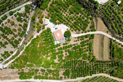 4756ffe3f6d3b42e081850a9a87da27d - 57