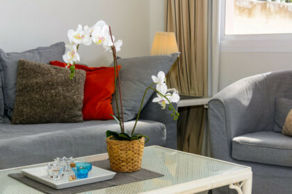 487fc33627d4f58736b9703c90ab2427 - 21