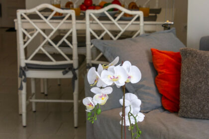 487fc33627d4f58736b9703c90ab2427 - 28