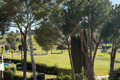 4885ec19797335b20a866ba5d8d7e247 - 13