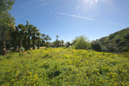 48cc7232dae97707c0c150dc60eba9ab - 40