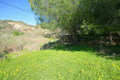 48cc7232dae97707c0c150dc60eba9ab - 41