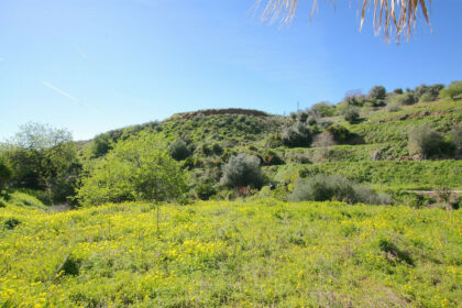 48cc7232dae97707c0c150dc60eba9ab - 42