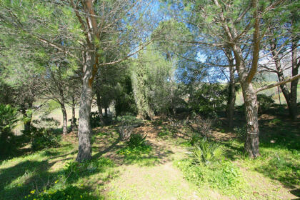 48cc7232dae97707c0c150dc60eba9ab - 43