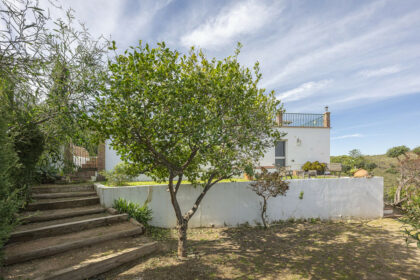 495977564ac3dfe43e5c4ba7ec4c70de - 101