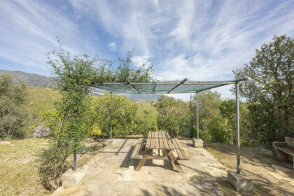 495977564ac3dfe43e5c4ba7ec4c70de - 102