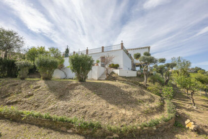 495977564ac3dfe43e5c4ba7ec4c70de - 104