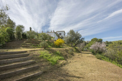 495977564ac3dfe43e5c4ba7ec4c70de - 105