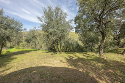 495977564ac3dfe43e5c4ba7ec4c70de - 106