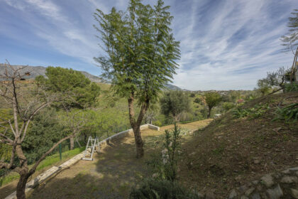 495977564ac3dfe43e5c4ba7ec4c70de - 110