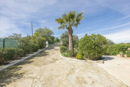 495977564ac3dfe43e5c4ba7ec4c70de - 55