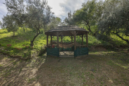 495977564ac3dfe43e5c4ba7ec4c70de - 82