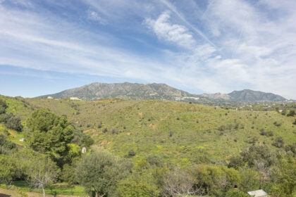 495977564ac3dfe43e5c4ba7ec4c70de - 87