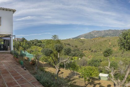 495977564ac3dfe43e5c4ba7ec4c70de - 95