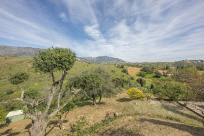 495977564ac3dfe43e5c4ba7ec4c70de - 96