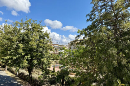 4cf699cdbca23324606e0e85bb1ab143 - 32