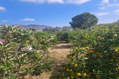 4e094b6023e99225a7b78bfcfbed2008 - 12